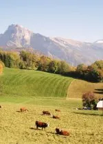 Visite guidée : Le village de Mathonex et sa chapelle