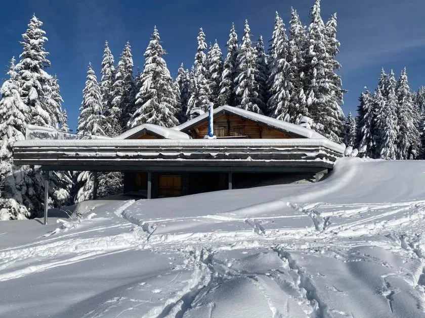© L'Anfionne sous la neige - Elisabeth Passy