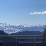 © Vue de la terasse - Elisabeth Passy