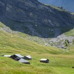 © principal_ete - alfred wills