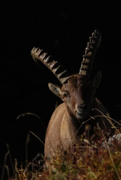 © Meeting at the Pelly campsite, with a natural reserve leader - F.Miramand