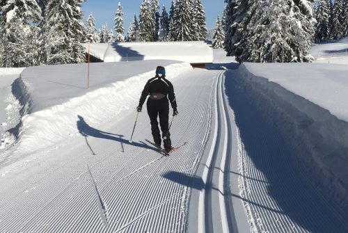 Cross-country skiing course