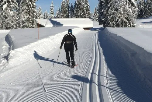 Stage de ski de fond