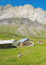Observations and Exchanges at the Alfred Wills Shelter