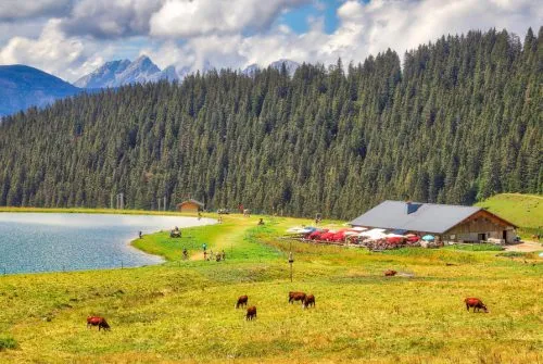 Airon lake and alpine pasture