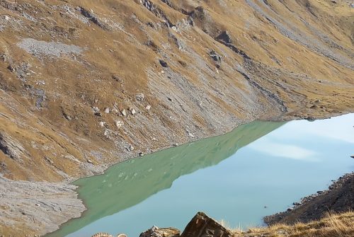 Randonnée naturaliste