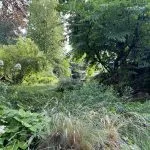 © Visit La Jaÿsinia Alpine Botanical Garden for groups - OT Samoens