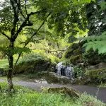 © Visit La Jaÿsinia Alpine Botanical Garden for groups - OT Samoens