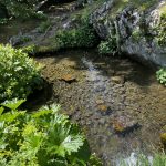 © Jardin Botanique La Jaysinia - Visite Groupe - OT Samoens