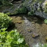 © Visit La Jaÿsinia Alpine Botanical Garden for groups - OT Samoens