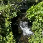 © Visit La Jaÿsinia Alpine Botanical Garden for groups - OT Samoens