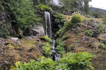 © Jardin Botanique La Jaysinia - Visite Groupe - OT Samoens