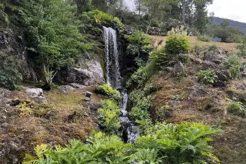 © Visit La Jaÿsinia Alpine Botanical Garden for groups - OT Samoens