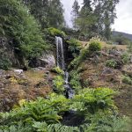 © Jardin Botanique La Jaysinia - Visite Groupe - OT Samoens