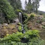 © Visit La Jaÿsinia Alpine Botanical Garden for groups - OT Samoens