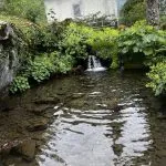 © Visit La Jaÿsinia Alpine Botanical Garden for groups - OT Samoens