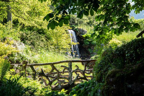 Visite du Jardin botanique alpin La Jaÿsinia pour les groupes