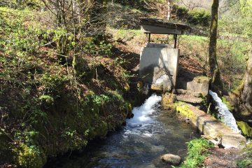 © vanne - veisy aurélie