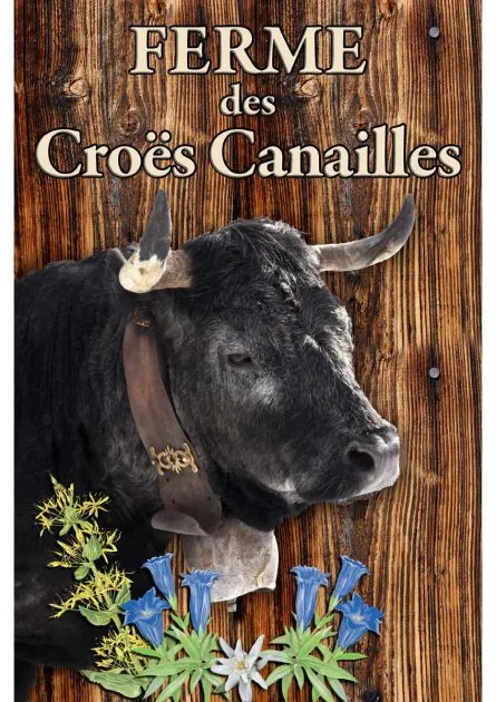 © Farm visit, Vaches Hérens - GAEC des Croës Canailles - Guillaume Collanges