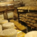 © Visite de la Ferme de Ballancy - @Ballancy