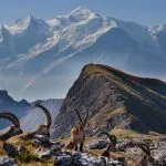 © Grandes-Platieres-Desert-Plate-Flaine- - OT Flaine-Candice Genard
