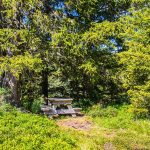 © Picnic area Parking de Vernant - OT Flaine-Candice Genard
