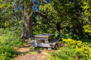 © Picnic area Parking de Vernant - OT Flaine-Candice Genard