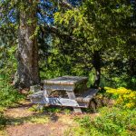 © Picnic area Parking de Vernant - OT Flaine-Candice Genard