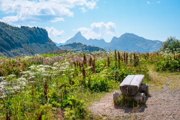 © Lac de Vernant picnic area - OT Flaine-Candice Genard