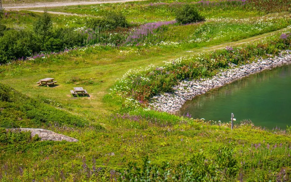 © Flaine-Aire-Pique-Nique-Lac-Vernant-Cote-Lac - OT Flaine-Candice Genard