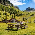 © Flaine Forêt picnic area - OT Flaine-Candice Genard