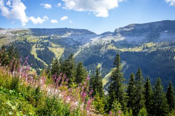 © Picnic area Flaine les Gérats - OT Flaine-Candice Genard