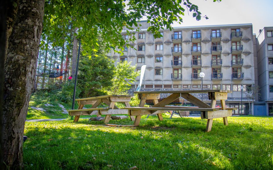 © Flaine Forum picnic area_Flaine - OT Flaine-Candice Genard