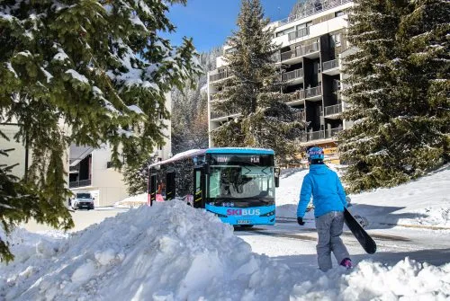 Shuttle stop - 8 Lift 1 Forest