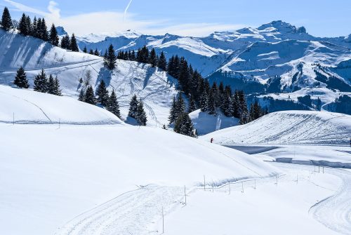 Piste Bleu : Le Col