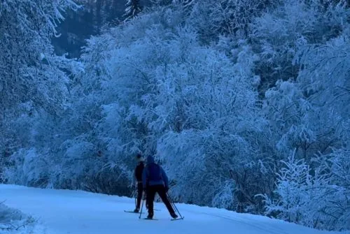 Piste bleue : Circuit de Vallon