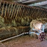 © The Pays de Moulin Heritage Days - Clos Parchet ecomuseum - © Écomusée du Clos Parchet