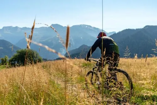 Le Grand Crêt - Mountain biking