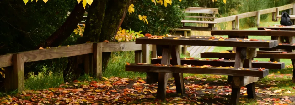 © Giffre picnic area_Samoëns - Canva