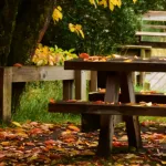 © Giffre picnic area_Samoëns - Canva