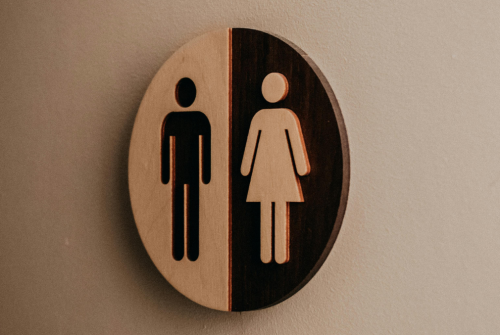 Grand Massif Express public toilets