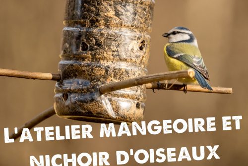 L'Atelier Mangeoire à oiseaux