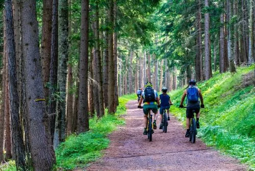 La KIDS ludique - 8km - Mountain bike circuit