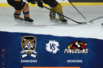 Field hockey match: Samoëns Lynx vs Morzine Pingouins