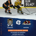 Field hockey match: Samoëns Lynx vs Morzine Pingouins