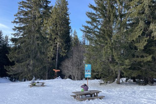 Aire de pique-nique sur Marvel