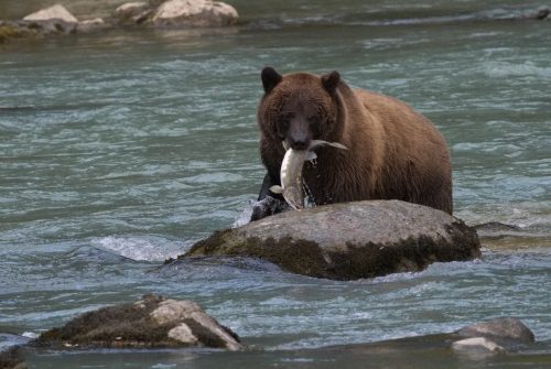 Exposition photo "Voyage aux 4 coins du monde"