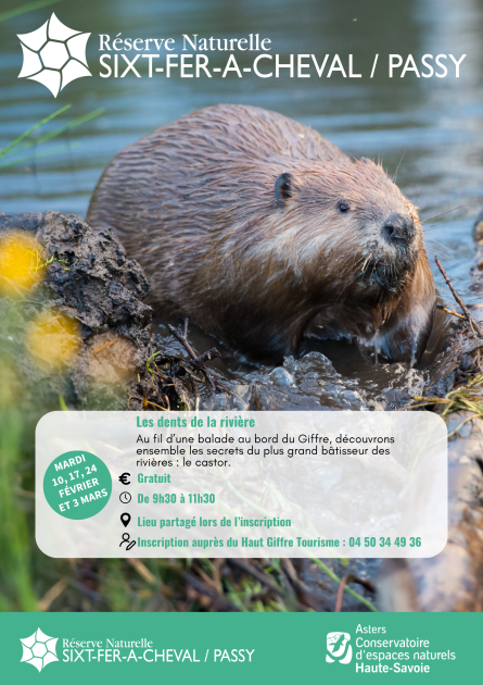 Les dents de la rivière_Morillon