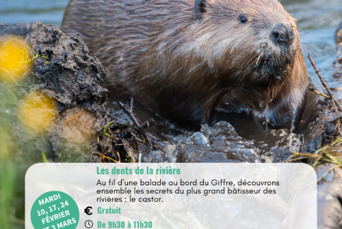 Les dents de la rivière