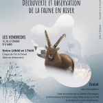 Découverte et observation de la faune en Hiver._Sixt-Fer-à-Cheval